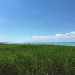 At Balaton