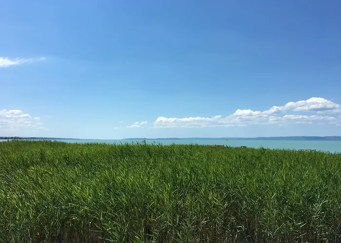 At Balaton